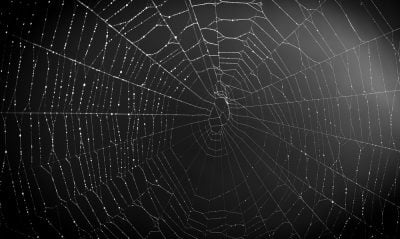 Dark Web Sites