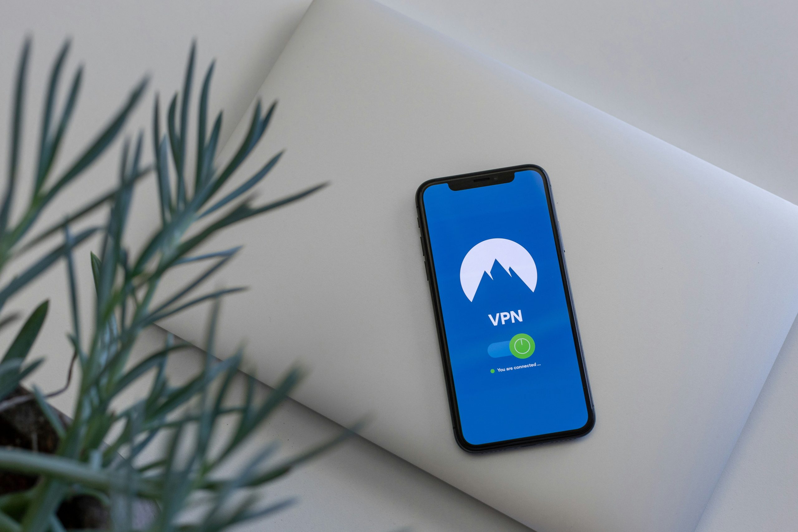 Read more about the article Defining Digital Safety: Top Cybersecurity Startups 2023