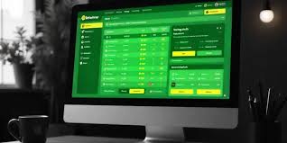 BetWinner Bookmaker An In-Depth Review and Insights